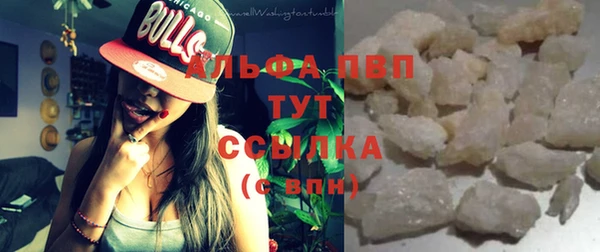 прущие грибы Лихославль