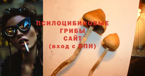 прущие грибы Лихославль