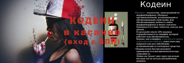 прущие грибы Лихославль
