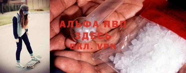 прущие грибы Лихославль