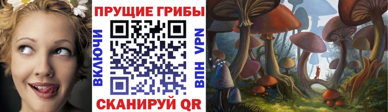 цена наркотик блэк спрут вход Псилоцибиновые грибы GOLDEN TEACHER Суджа